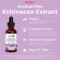 Mary Ruth's Organic Echinacea Purpurea Liquid Extract, 1 oz