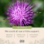 Gaia Herbs, Milk Thistle, 120 Vegan Capsules