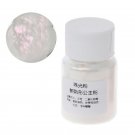 10 g Resin Dye Powder Mica Pearl Pigments Colorants Crystal Mud Resin Jewelry Making acrylic paints 