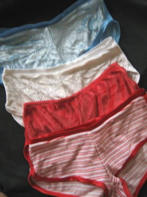 NEW VICTORIA SECRET RETRO VELOUR SEXY HOT SHORTS S