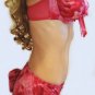 NWT VICTORIA SECRET SILK BRA PANTY SET LOT PINK Roses
