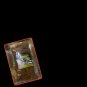 FLOSS Chicken / Beef Spicy Serunding Oriental Dishes Delicious - 350gm X 5 PACKS