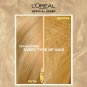 LOREAL PARIS ELSEVE EXTRAORDINARY Oil Treatment  for Damaged Hair 2PCS x 100 ML