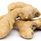 Fresh & Natural Organic Whole GINGER Root Non-GMO Home Grown Fresh & Natural Organic Whole GINGER Root Non-GMO Home Grown