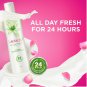 2 x 250ml Lactacyd All Day Fresh Feminine Wash Natural And Safe All Day Care