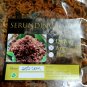 FLOSS Chicken Spicy Serunding  Delicious Dish FREE SHIPPING - 250gm X 6 PACKS