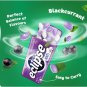 Mints Wrigley's Eclipse 12 X 35g Blackcurrant Sugarfree Candy Tin Fresh Breath
