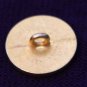 One Vintage Canterbury Blazer Button Gold Crown Shield Shank