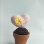 Love woven pot(one set four pots)