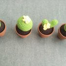 Woven Potted succulents(one set four pots)