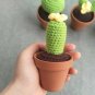 Woven Potted succulents(one set four pots)