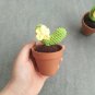 Woven Potted succulents(one set four pots)