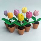 Tulip woven pot