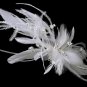 Bridal Feather Silver Rhinestone Band Headband
