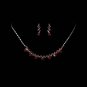 Silver Burgundy Crystal Accented Necklace Earring Set