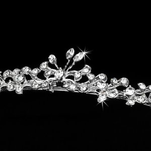 Silver Clear Rhinestone Crystal Floral Tiara Headband