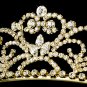 Bridal Gold Rhinestone Crystal Floral Tiara Headband
