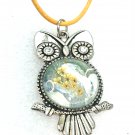 Owl Pendant 20mm  Hand Painted  Birthday Mother Valentines Gift