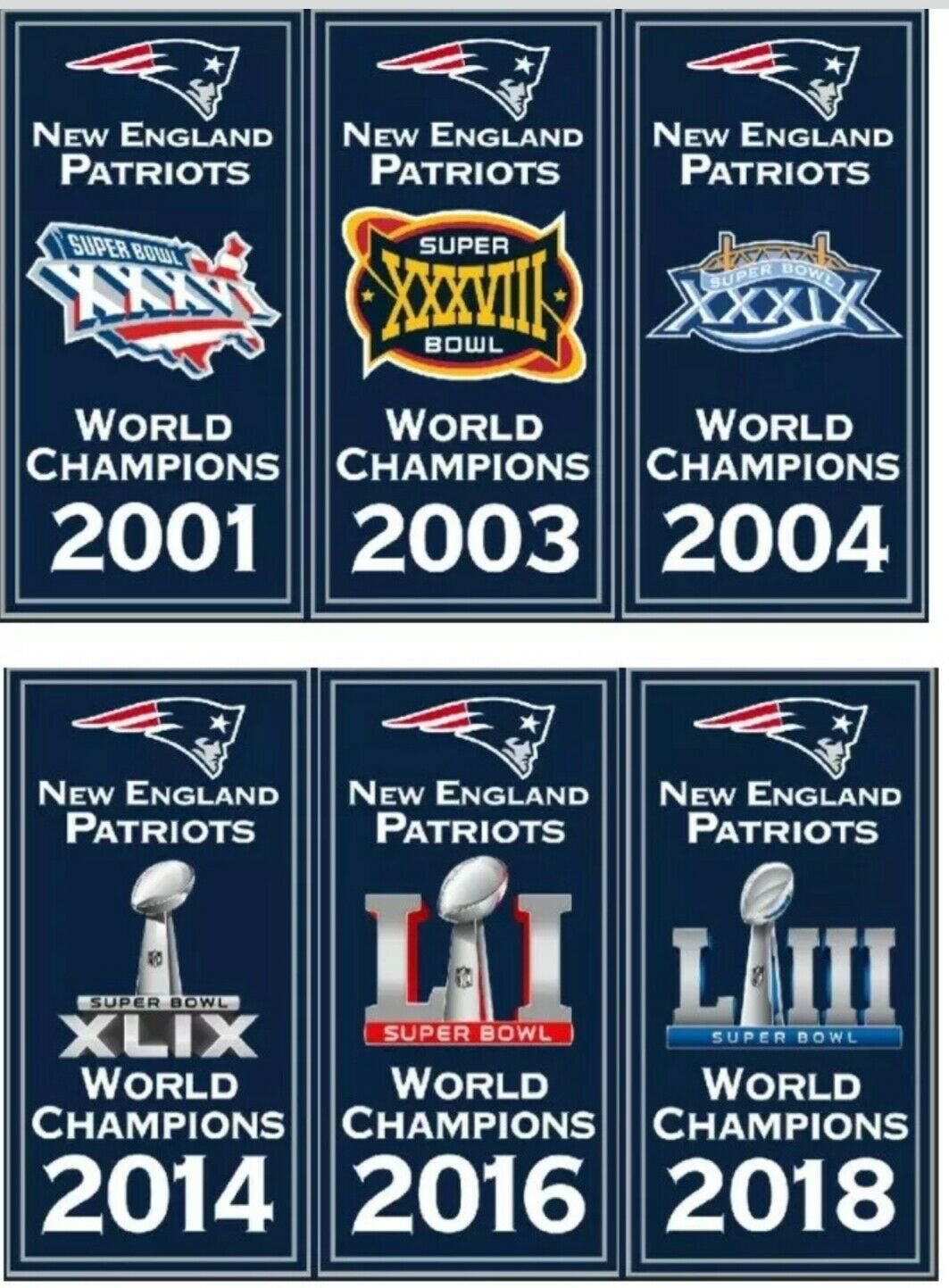 New England Patriots Super Bowl World Champions 14