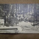 VINTAGE POSTCARD SCENE MONO HOT SPRINGS CA Loran Martin B205 rppc