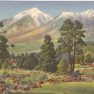San Francisco Peaks, Flagstaff Arizona postcard  vintage