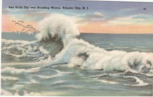 Sea Gulls over Breaking Waves Atlantic City NJ postcard