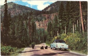 Bears McDonald Valley Glacier National Park postcard vintage