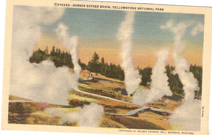 Norris Geyser Basin Yellowstone National Park Vintage Postcard