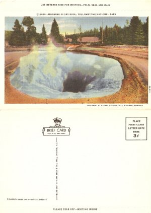 Morning Glory Pool Yellowstone National Park brief card vintage postcard