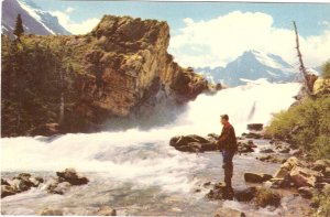 Swift Current Falls Glacier National Park Montana fishing vintage postcard