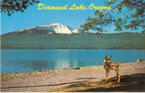 Diamond Lake Oregon vintage postcard