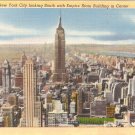 Roof View New York City Empire State Building vintage postcard