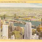 Roof View New York City Empire State Building vintage postcard 143C