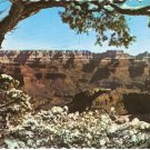 Grand Canyon National Park Arizona vintage postcard