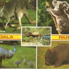 Koala Park West Pennant Australia postcard