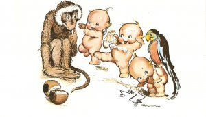 Rose O'Neill Kewpie 1976 The Drays postcard