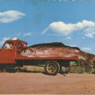 Saw a fair-sized trout vintage postcard giant fish red truck