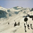 Flumserberg Abfahrt Maschgachamm Skiing Mountains Germany vintage postcard