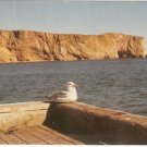 Perce Quebec Canada Seagull Quay vintage postcard