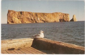 Perce Quebec Canada Seagull Quay vintage postcard