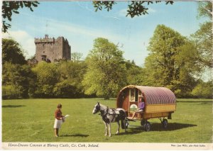 Blarney Castle Horse-Drawn Caravan Cork Ireland vintage postcard