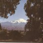 Mt Cayambe, Ecuador South America vintage postcard