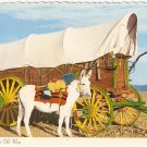 Old West Scene David Mills mule conestoga wagon vintage postcard