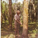 Rubber Tree Tapper Malaysia vintage postcard