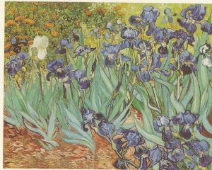 Vincent Van Gogh Irises J Paul Getty Museum Malibu California 1990 postcard