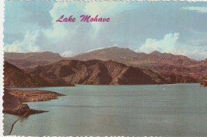 Lake Mohave Davis Dam Colorado River Arizona vintage postcard