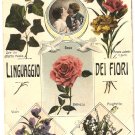 Vintage Antique Postcard Linguaggio del Fiori Italy Flowers