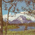 Grand Teton National Park Wyoming Mt Moran Snake River postcard