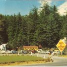 Trees of Mystery Redwood Highway California vintage postcard