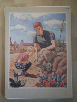 God Lets Us See His Wonders Providence Lithograph 1963 Timmins